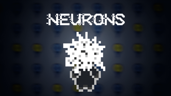 Neurons